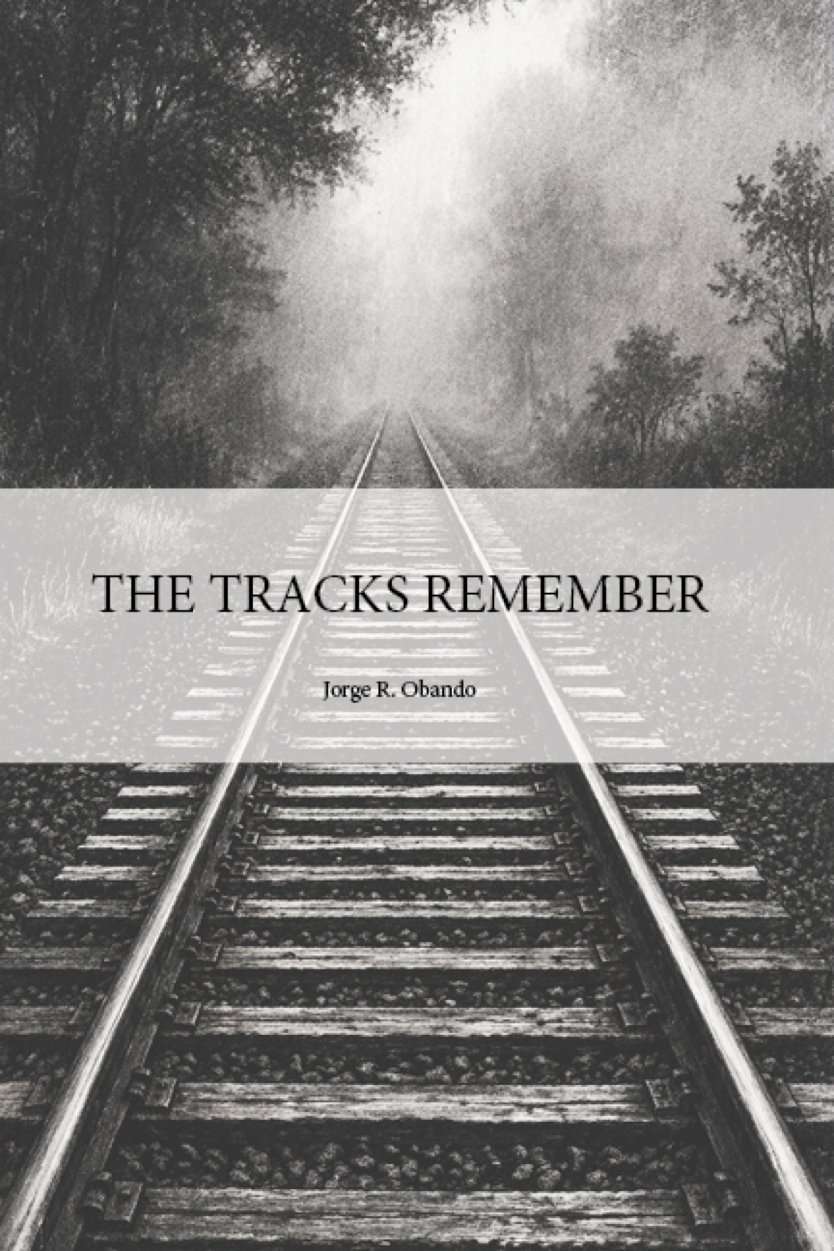 Cover of The Tracks Remember